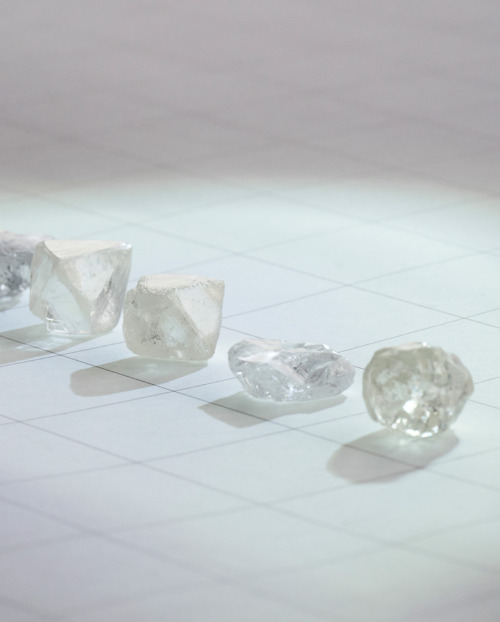 six natural diamonds lined up on a quadricular paper sheet