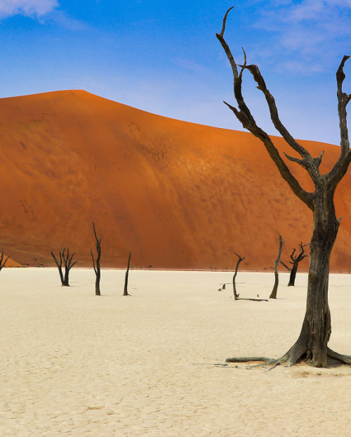 The Namib Desert in southwestern Africa
